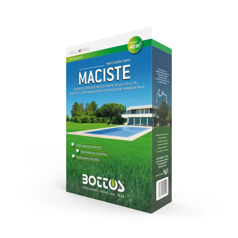 Maciste (1kg)