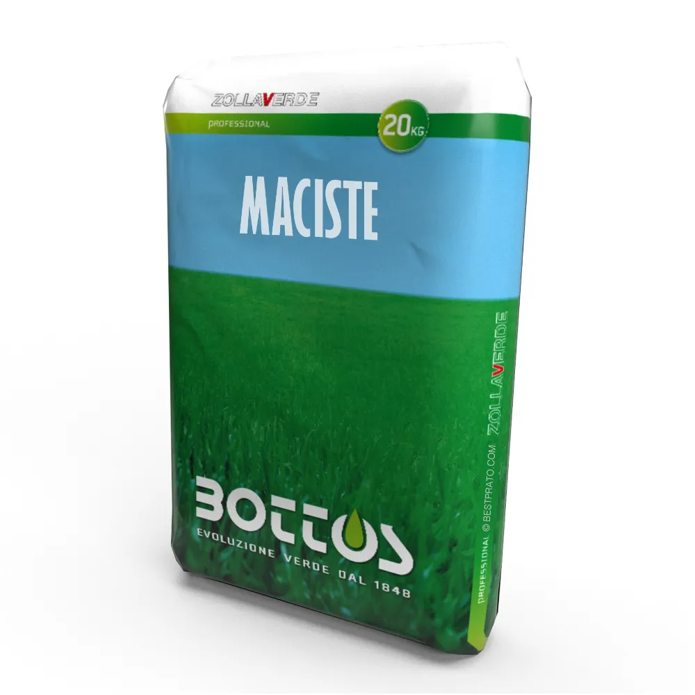 Maciste (20kg)