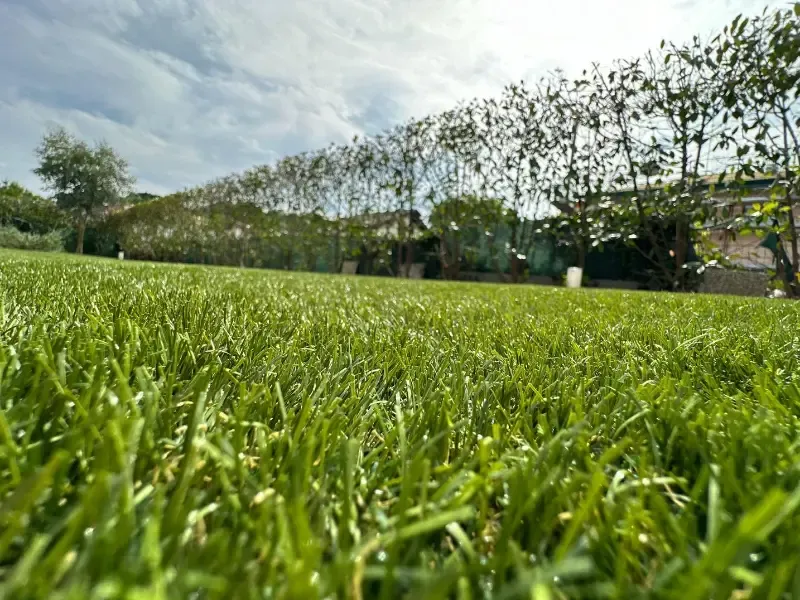 Prato Sintetico Diana 40mm